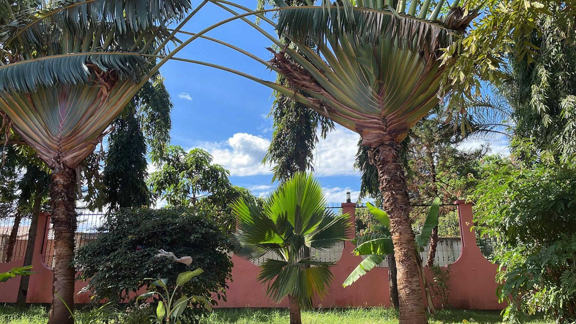Bungalow X Garten & Terrasse X Wlan X Europaeisch Moshi Extérieur photo